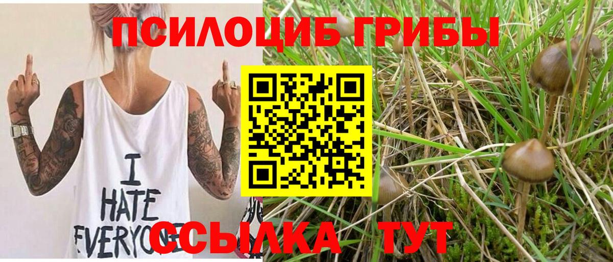 Шали  Галлюциногенные грибы GOLDEN TEACHER  Вход с VPN 