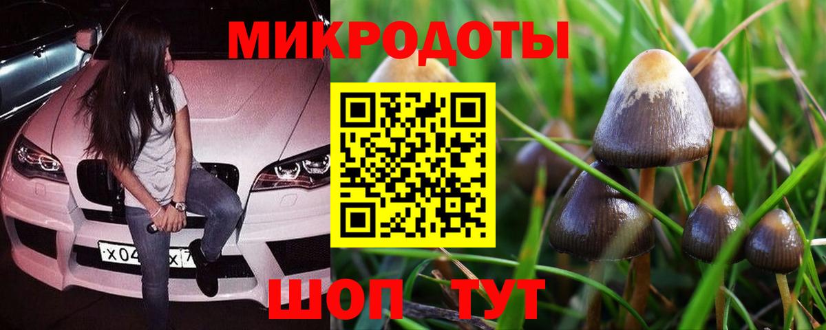Псилоцибиновые грибы мицелий Шали