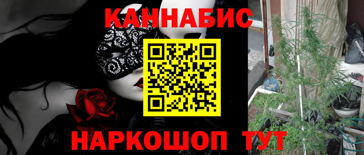 Конопля MAZAR Шали